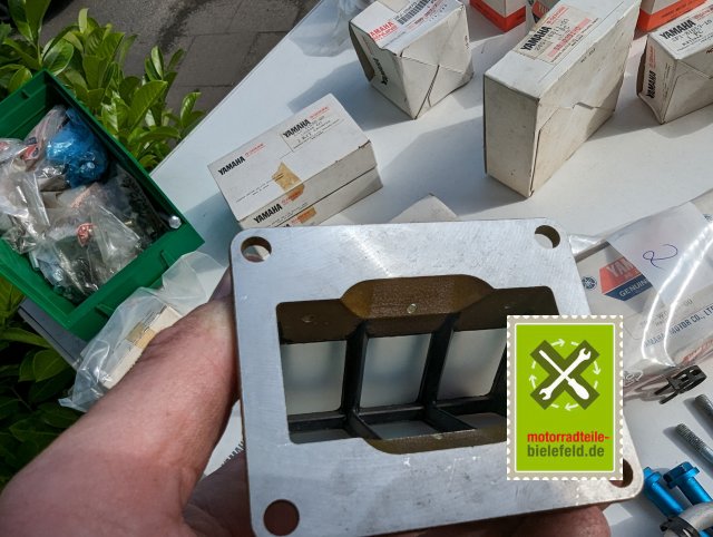 PXL_20240527_150127871